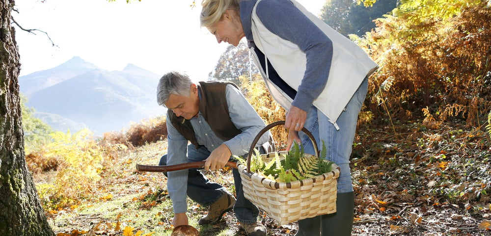 fun-fall-activities-for-seniors-to-enjoy-in-central-ct